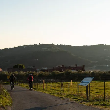 Yadranka With Sea View Apartman Strunjan