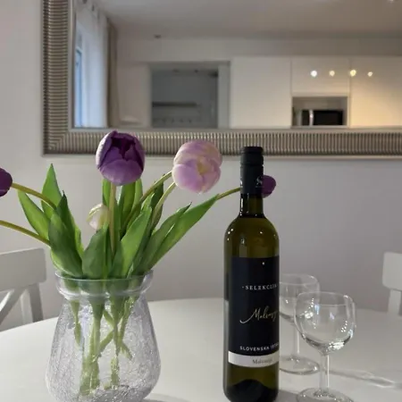 Lejlighed Yadranka With Sea View